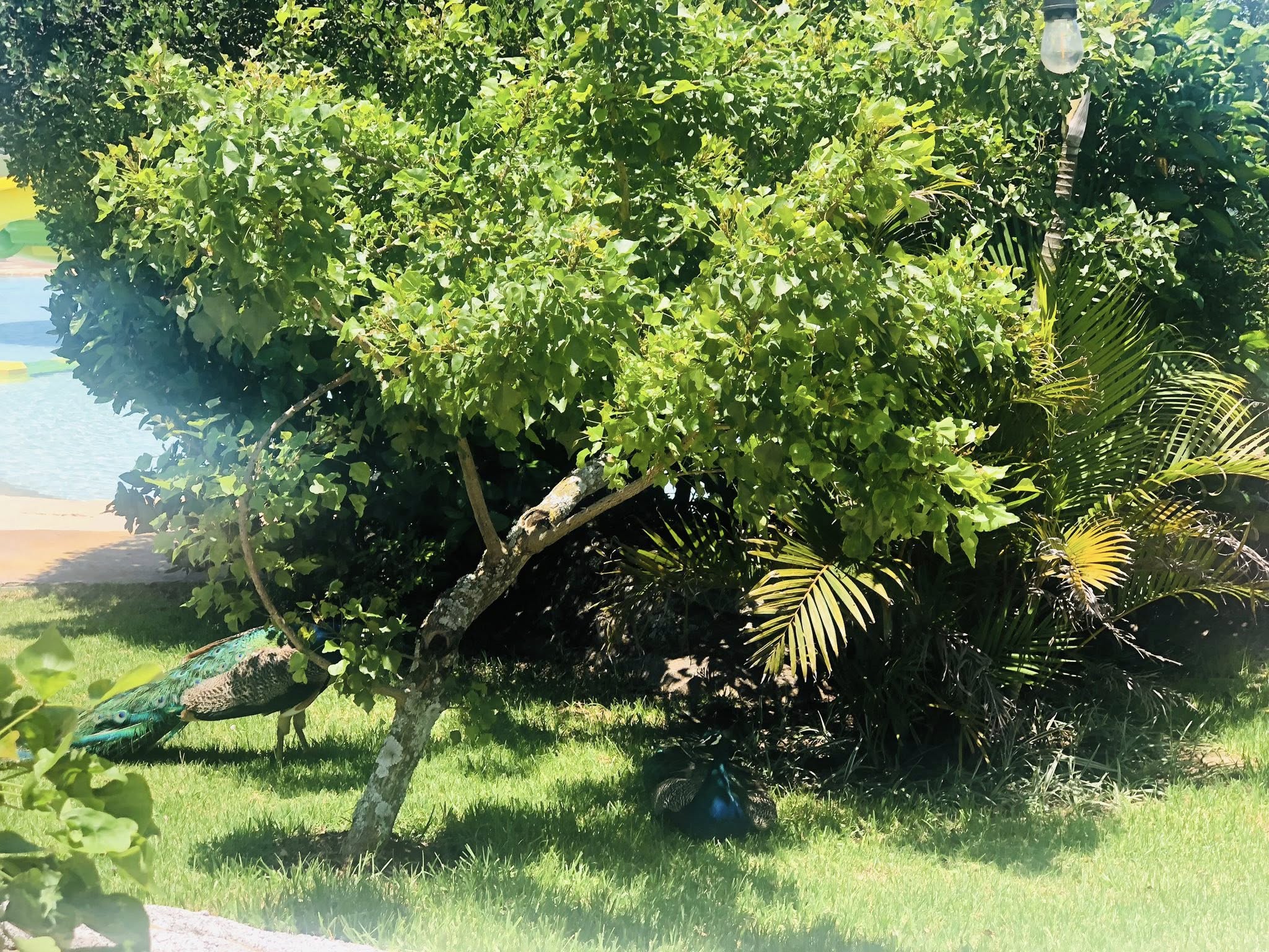 Sibebe Resort granite entrance arch